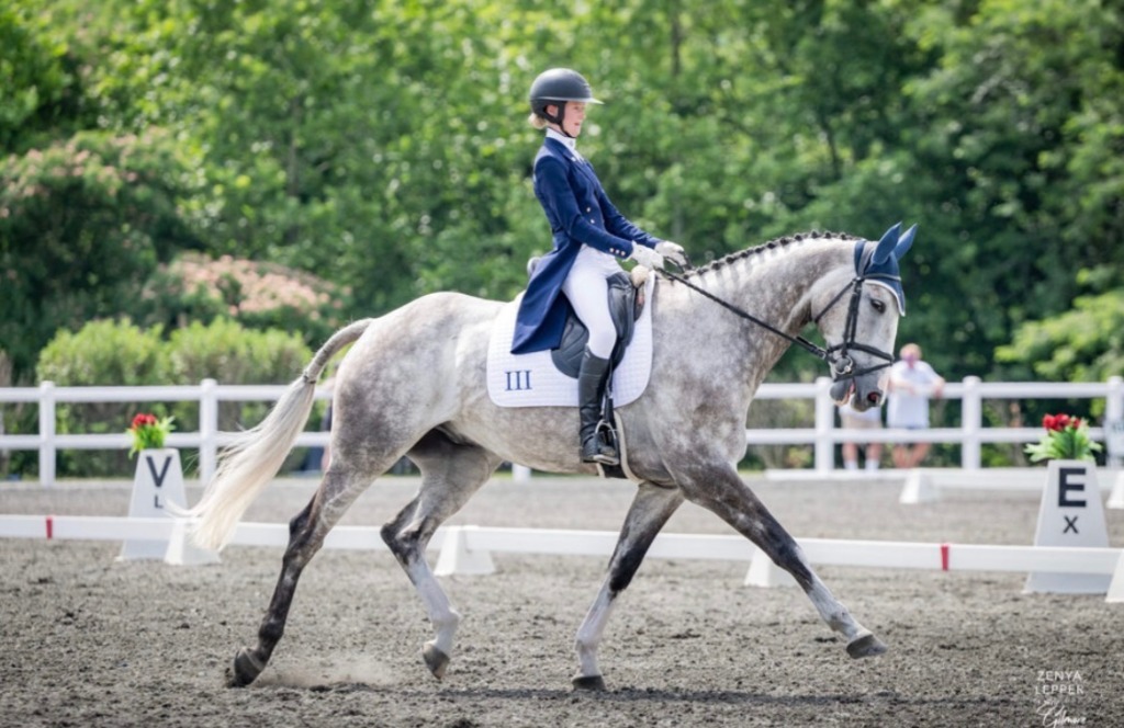 Pollard EQ Training and Dressage